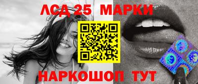стафф Донской