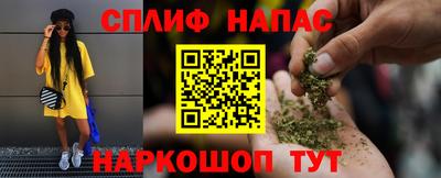стафф Донской