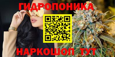 прущие грибы Абакан