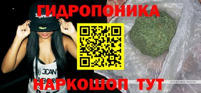 стафф Донской