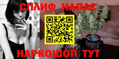 стафф Донской