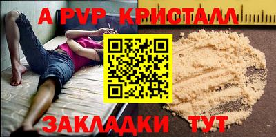 стафф Донской