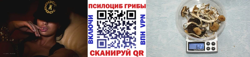 купить закладку  Нарьян-Мар  Галлюциногенные грибы ЛСД 