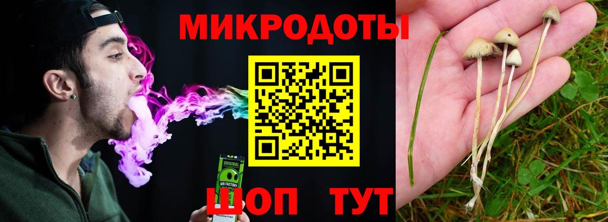 Псилоцибиновые грибы MAGIC MUSHROOMS  цены наркотик  Нарьян-Мар 
